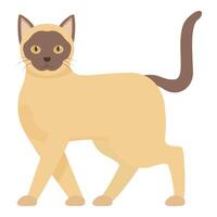 Siamese cat walking with curiosity, a graceful feline presence vector