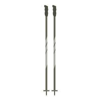 Pair of trekking poles standing upright on white background vector