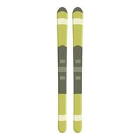 Pair of downhill skis standing upright on white background vector