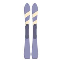 Pair of mountain skis standing upright on white background vector