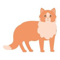 Adorable orange tabby cat standing on white background vector