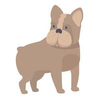 Brown french bulldog standing watching quietly illustration vector