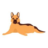 German shepherd lying down resting looking forward vector