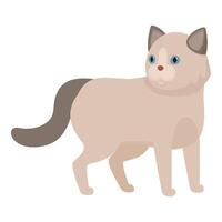 Cute ragdoll cat standing and showing its fluffiness vector