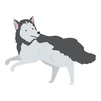 Playful siberian husky dog running with tongue out vector