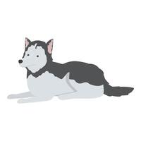 Siberian husky dog resting lying down paws out vector