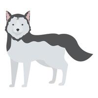 Cute siberian husky dog standing on white background vector