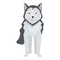 Adorable husky dog standing on white background vector