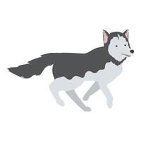 Siberian husky dog running fast with legs up vector