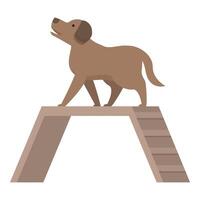 Labrador retriever dog walking on agility a frame obstacle vector