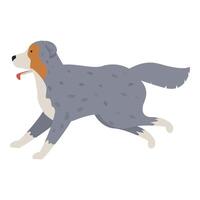 Happy australian shepherd dog running with tongue out vector