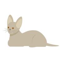 Grey cat with big ears relaxing on floor illustration vector