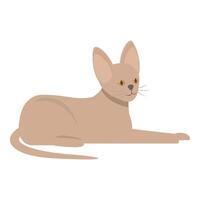 Abyssinian cat is lying down and relaxing at home vector