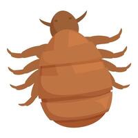 Louse insect spreading disease through bite with tiny legs and body segments vector