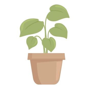 verde planta con grande hojas creciente en un arcilla maceta vector