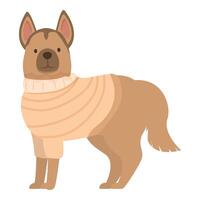 Brown dog wearing warm knitted sweater standing on white background vector
