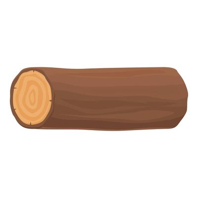Large tree trunk showing growth rings lying horizontally