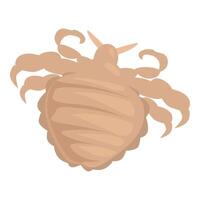 Pubic louse crawling showing its tiny claws vector