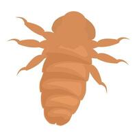 Louse insect spreading its legs while crawling on white background vector