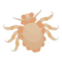 Pubic louse crawling, showing its anatomy vector