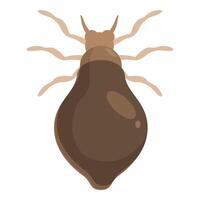 Deer ked crawling showing large abdomen and tiny head vector