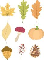Hand drawn autumn leaves elements. Autumn leaves. Maple leaves, pumpkins, berries and pinecones vector