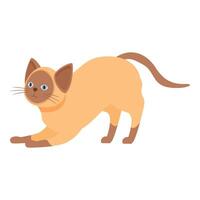 Playful siamese cat stretching on white background vector