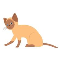 Playful siamese cat sitting and preparing to jump vector