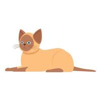 Siamese cat laying down relaxing looking at something vector