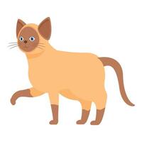 Siamese cat walking with raised paw illustration vector