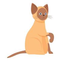 Adorable siamese cat sitting and raising paw in playful pose vector
