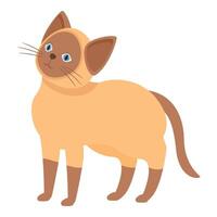 Cute siamese cat standing and looking up vector