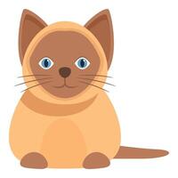 Cute siamese cat sitting and resting, a domestic animal vector