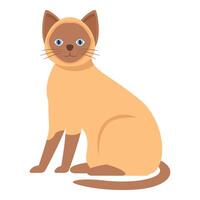 Siamese cat sitting posing for portrait illustration vector