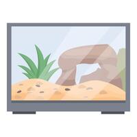Empty glass terrarium with sand and stone for reptile vector