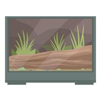 Empty terrarium with substrate and plants is waiting for animal vector