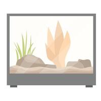 Empty rectangular aquarium with plants and rocks for home decoration vector
