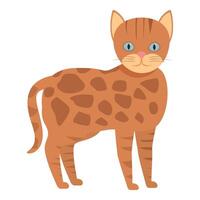 Cute tabby cat standing and looking forward with blue eyes vector