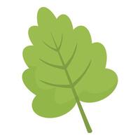 Green cartoon leaf with veins showing growing in spring vector