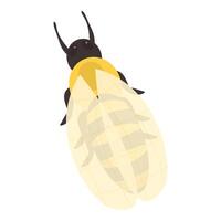 Bark beetle is spreading its wings and preparing to fly vector