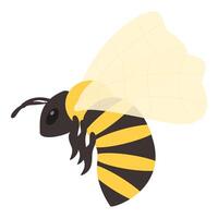 Honey bee is flying with its wings spread vector