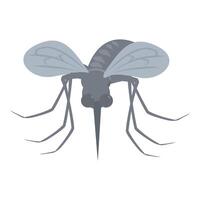 Grey mosquito spreading malaria with open wings vector