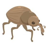 Brown weevil walking with long nose and big eyes vector