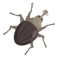 Large gray beetle standing on white background vector