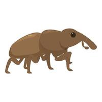Brown weevil is taking a stroll vector
