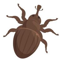 Big brown grain weevil crawling on white background vector