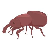 Red weevil walking and showing head, thorax, abdomen and legs vector