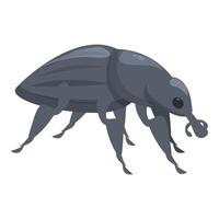 Gray weevil is taking a stroll vector