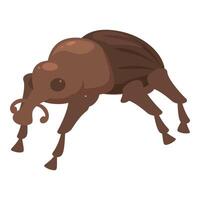 Brown weevil beetle is taking a stroll vector
