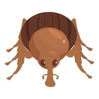 Brown weevil walking with long legs and head down vector